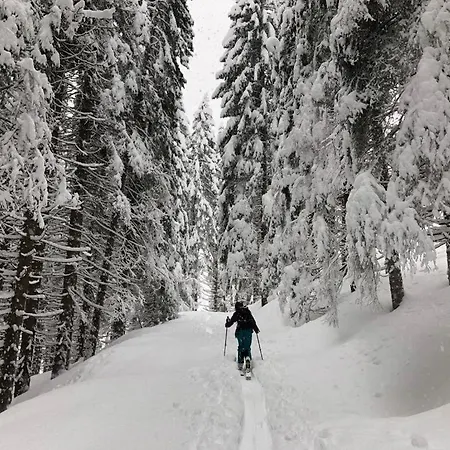 Baita Zeni Tirolerhof (Adults Only)-2